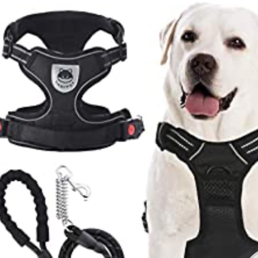No Pull Dog Harness Leash Set, Reflective Adjustable Soft Padded Dog Vest